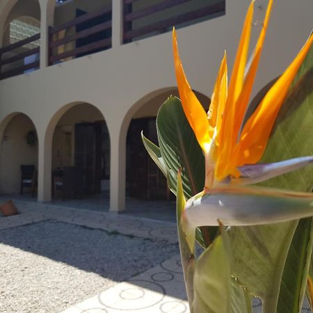 Santo Quintal Hostel Убатуба Екстер'єр фото